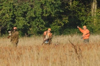 The gunners and a handler hash out how to handle a difficult bird position. The Weim's already got it all figured out.