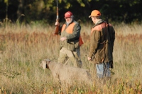 The pointing dog stays steady as a gunner moves into position.