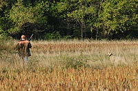 As the Weim stays on point, the handler follows his dog's nose into the cover to kick up the hidden bird.