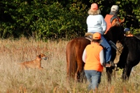 That steadiness paid off, and the Viszla makes a nice retrieve right past the judges.