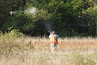 And it's the perfect hunt test bird shot - cleanly dropping the bird in workable cover at a good retrieving distance.