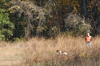 Well across the bird field, a Brittany and his handler head into the hot zone.