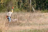 Top o' the morning to you too, Billy! He's not just being polite, here. He's holding up his hat to make sure that the judges - across the field - are aware his Weim is on point.