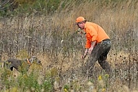 On a retrieve, chukar on board.