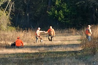 The GSP has retrieved to hand, and her handler is delivering the chukar to a gunner. Not all handlers want or need a dead bird, but the pile that the gunners collect quickly turn into training aids or lovely meals. A badly damaged bird feeds the foxes and other scavangers.