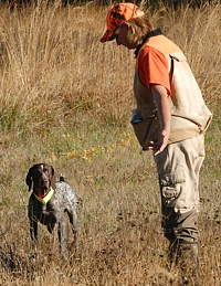 Alas, it's a hot spot. There's a handful of chukar feathers there. Good opportunity for him to learn how to work out the difference, though.