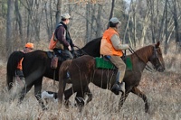 The judges and a handler from the day's first brace walk into the bird field behind a master dog.