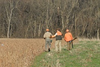 A handler and the gunning team (dog, just visible on point to the left) decide how to address a bird.