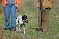 Pointer, leaving the field with her prize.