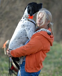 Never, ever spoil your bird dog. In this case, she's just being lifted up so as to get a better bit of scent from the bird field. You know, because it's, uh, windy, and whatnot.