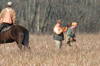 The judge watches carefully, the gunner makes ready, and the handler is kicking cover to flush a bird.