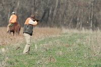 A gunner lines up on a quail flushing from his right. Note the mounted judge, watching the other dog, to the left.