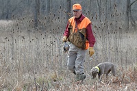 Handler, Weimaraner, and Chukar partridge leave the bird field.