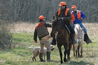 A handler and his Spinone thank the judges at the end of their run.