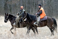 Veteran judge Mike (left) and his intrepid apprentice.