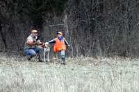 An unusual father-son handling team are running a Pointer on the Junior course. Here, the Junior dog and the Junior Handler or working on casting off.