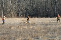 A classic hunt test flush. The dog watches as the bird goes up, the handler swings his prop gun (per the rules), and the two gunners he's placed at either side make sure the bird is retrievable.