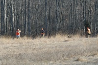 With the bird away, and trusting the gunners, this handler is looking back to his Weim to make sure he's steady.