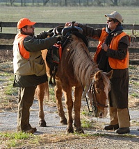 Saddling up.