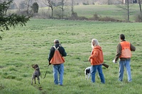 The marshal accompanies two handlers down to the breakaway area, where the judges will meet them.