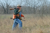 While their dogs are working, the brace's two handlers stroll into the bird field. These are master-level dogs, and can be trusted to be patient. Handlers carry prop guns, as well as blank pistols for use over birds flushing on the back course.