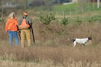 Her staunch dog staying on point, this handler and a gunner give the dog some room, and walk around to prepare for the flush and retrieve.