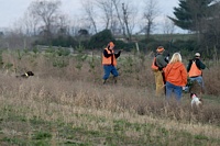 It's a busy brace. Working another bird, the GSP's handler marches in for the flush while the Pointer honors.