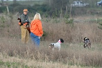 Honoring the other dog includes watching patiently as the other dog runs right past with a bird on a retrieve.