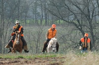 Coming up off of the back course, the judges (one on a radio to let the marshal know they're entering the bird field) accompany a handler.