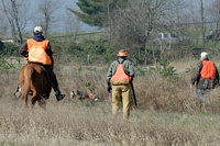 As a judge and gunner watch, the handler works out in front of the pointing Weim to kick up the bird.