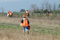 If there are too many unproductive flushes out of the bird field, the judges may call for another bird to be planted. A sporting bystander jog the bird bag out from the gallery.