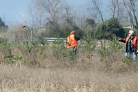 A steadying 'whoa' from Jim as the gunner neatly drops a partridge for the retrieve.