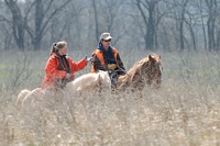 Two judges, riding in, and discussing what they've seen on the back course.