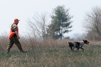 Working at comfortable gun range. But in a senior test, handlers do not need to carry a prop gun - only a blank pistol.