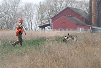 A looping drive-by. But they're each working . . .