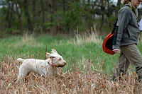 Running right on past the bird bag. She knows the difference between one in the hand, and a more interesting one in the bush.