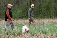 The judge is watching farther down the course, while Molly eyes the cover, and her handler watches her body language . . .