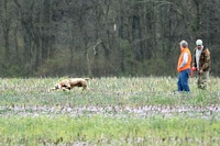 Nose down, it's off to track that bird.