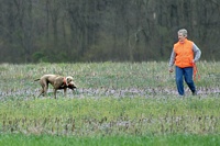 Though, giving up that bird isn't as fun as tracking it down.