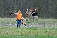 The judges compare notes as the handler keeps the dog's idea of a test prize at arm's length.