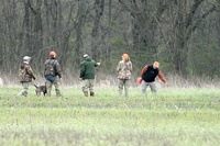 The pheasant has left a track towards the woodline, and one judge is scattering some more feathers to mark the starting point for the dog.