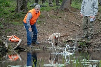 Every dog we watched was ready to go acquire that bumper . . .